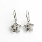 Starry Lovely Stone Earrings