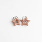 Toned Crystal Star Earrings