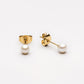 Freshwater Pearl Stud Earrings